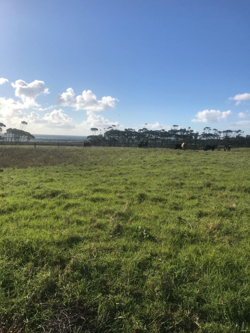 Karikari Lodge Tokerau Beach エクステリア 写真